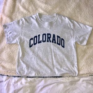 Brandy Melville Colorado Graphic Crop Top